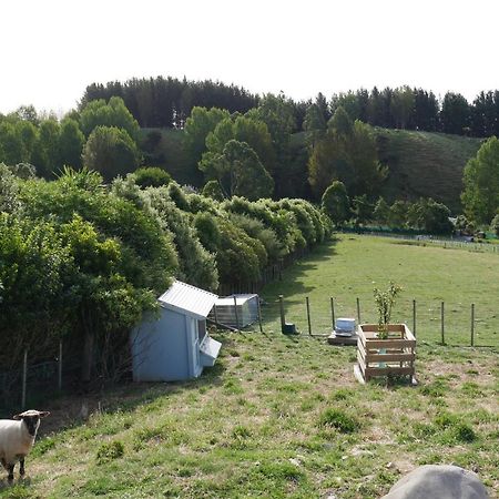 Aston Road Villa Bed & Breakfast Waikanae Exterior foto